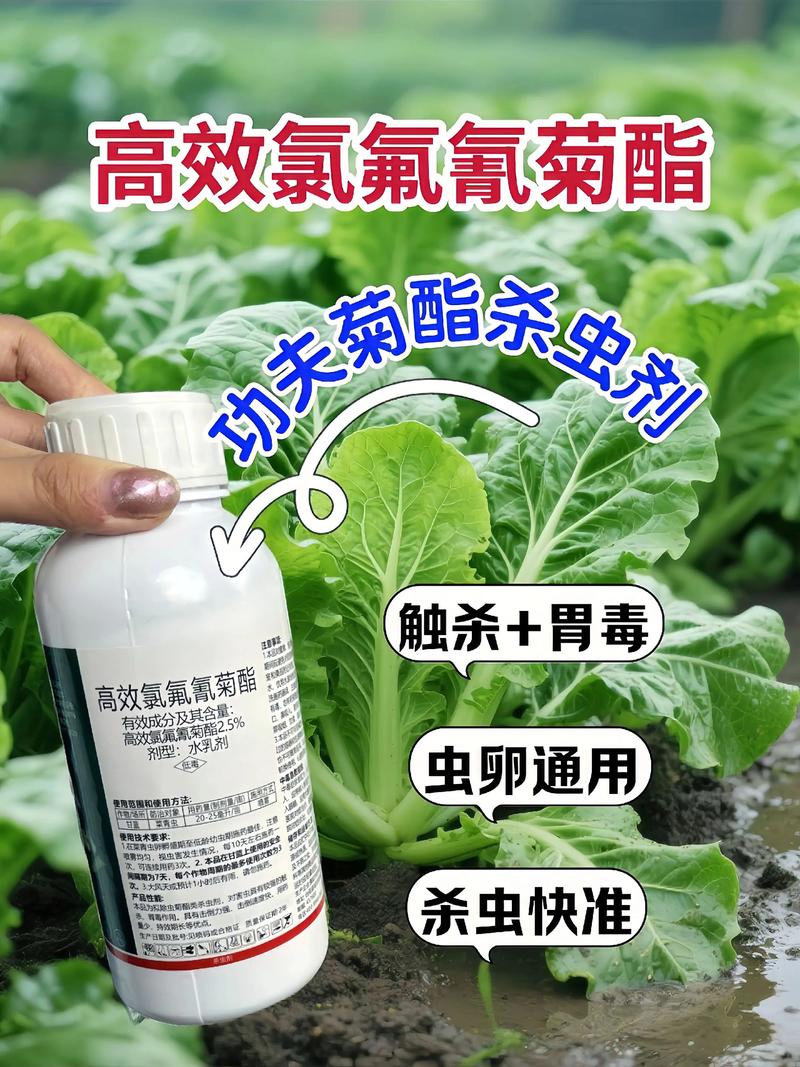 金昌代生中心:农药对供卵代生妈妈的危害